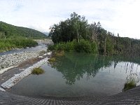 img (63)